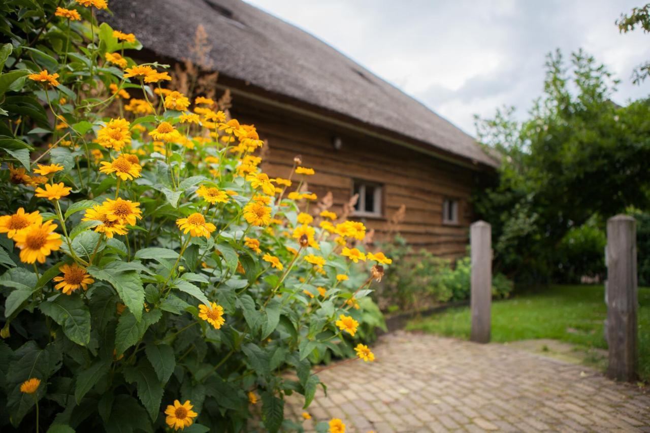 Aan De Aelder Esch Bed and Breakfast Aalden Εξωτερικό φωτογραφία